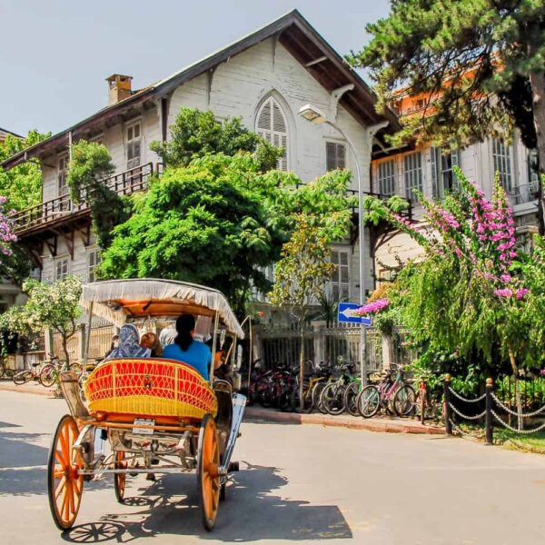 Bayram Turlarımızı İncelemek İstermisiniz!