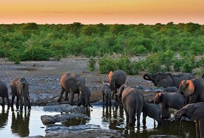 Büyük Afrika 4 Ülke Turu Türk Havayolları İle 11 Gece 12 Gün EJ001 